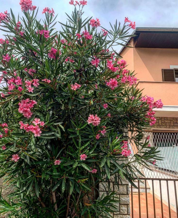 Apartman Belle Maison غييكا المظهر الخارجي الصورة